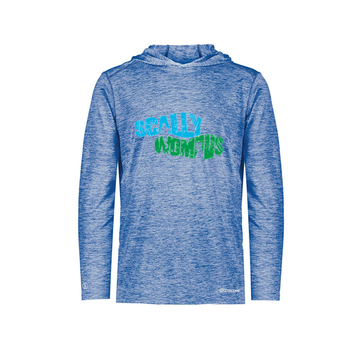 [FOLHCGRY-AS-LOGO1] Decker Men's Charge Hoodie (Adult S, Royal, Logo 1)